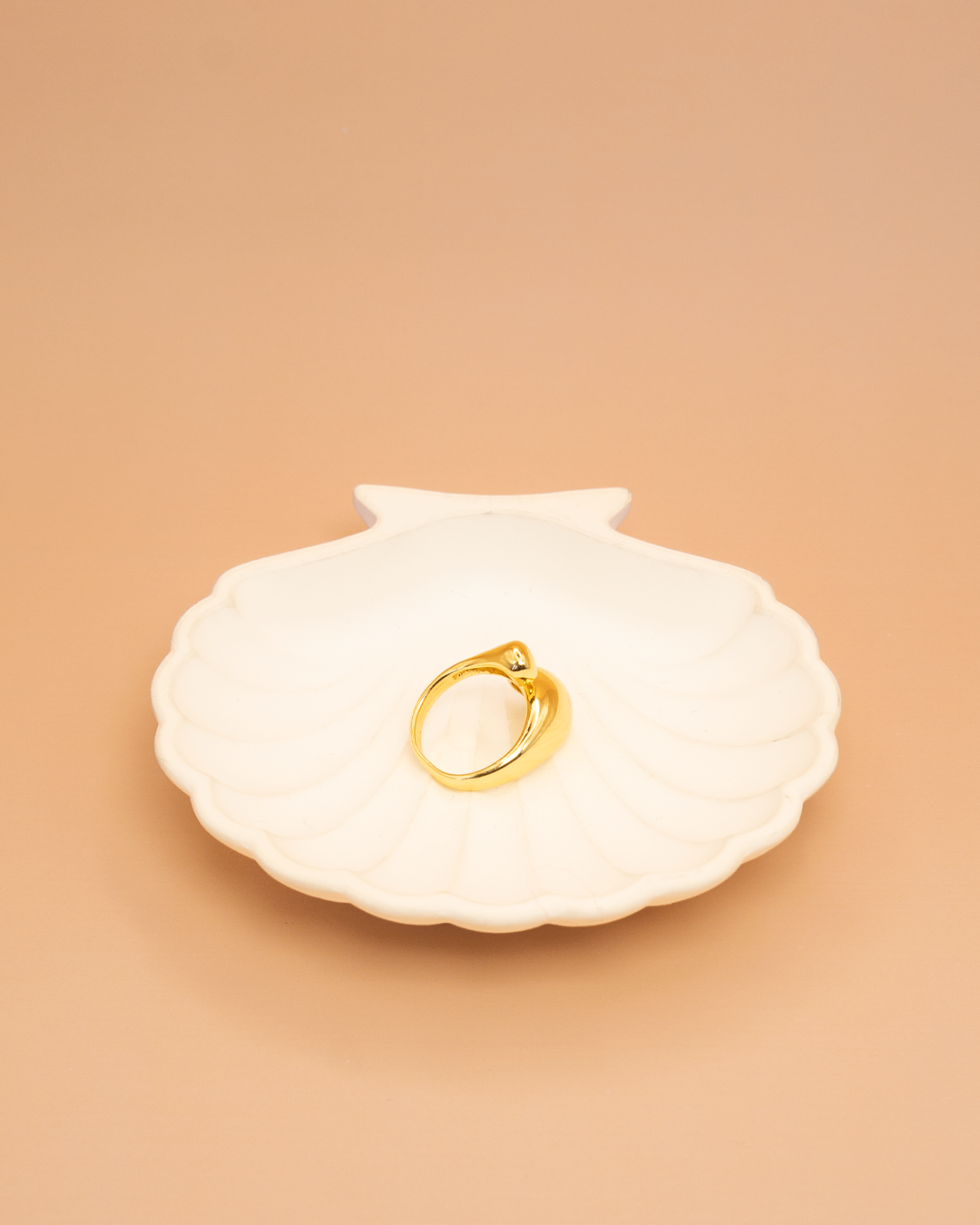 Anillo Envolvente