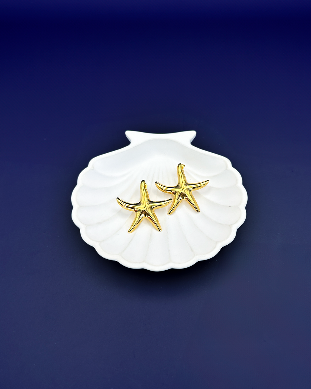Aretes Estrella Llana