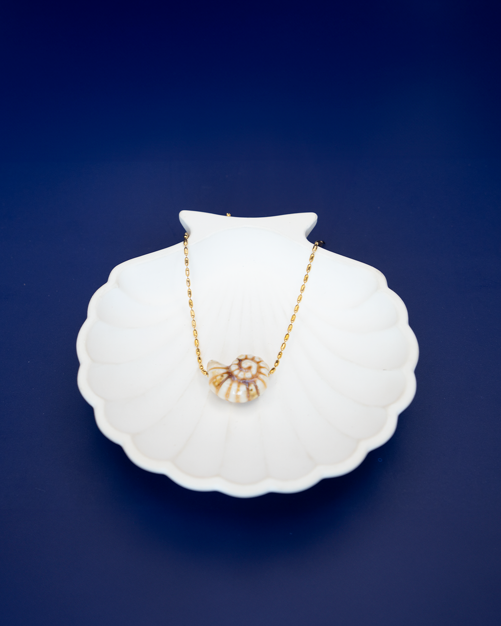 Collar Conchita