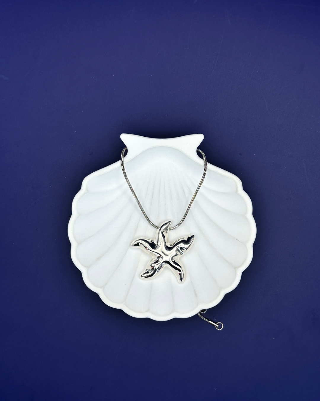 Collar Estrella Plateada